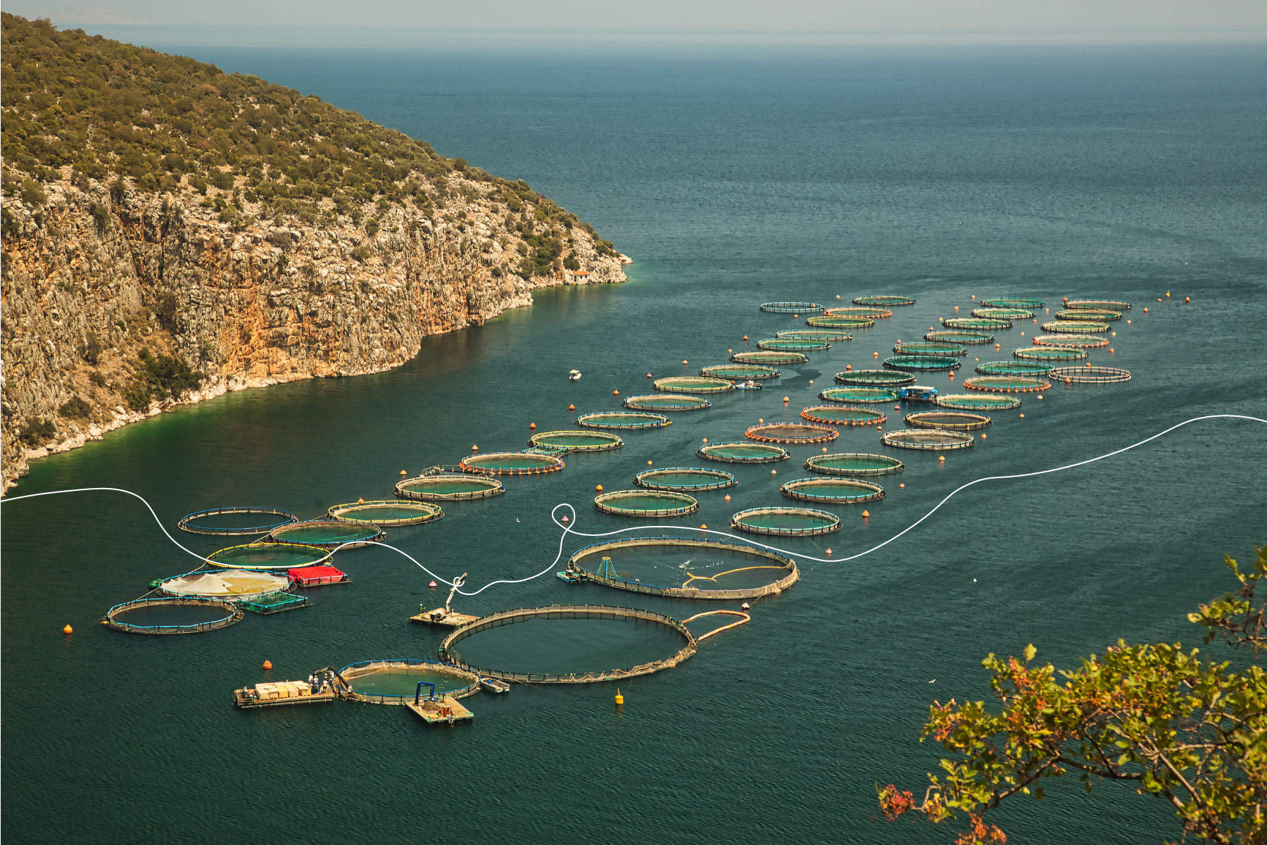Resources about fish farms featured image